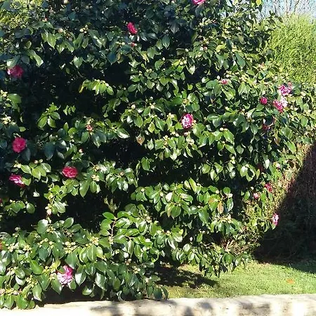 Maison De Style Normand Vakantiehuis *